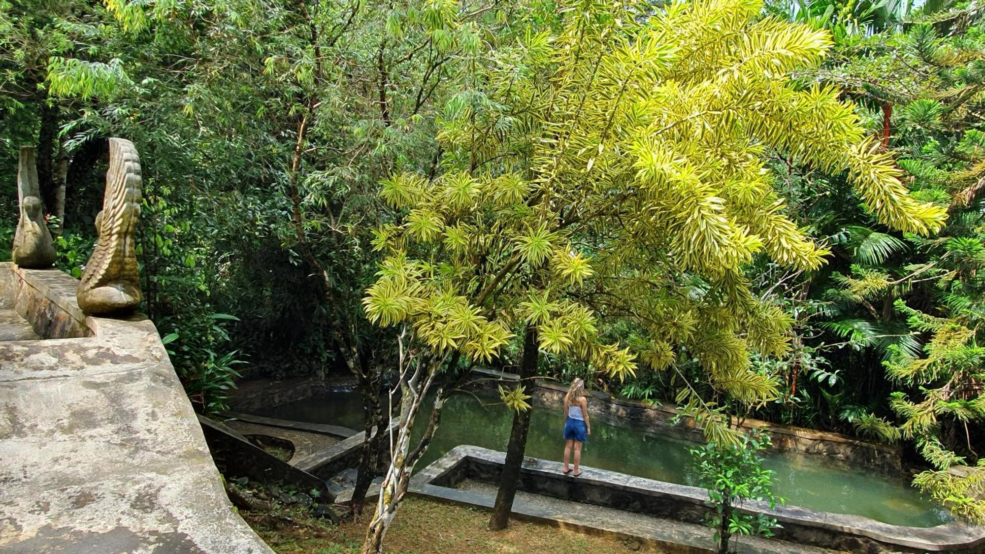 Singharaja Garden Agro Eco Lodge Pelawatta  Exteriör bild