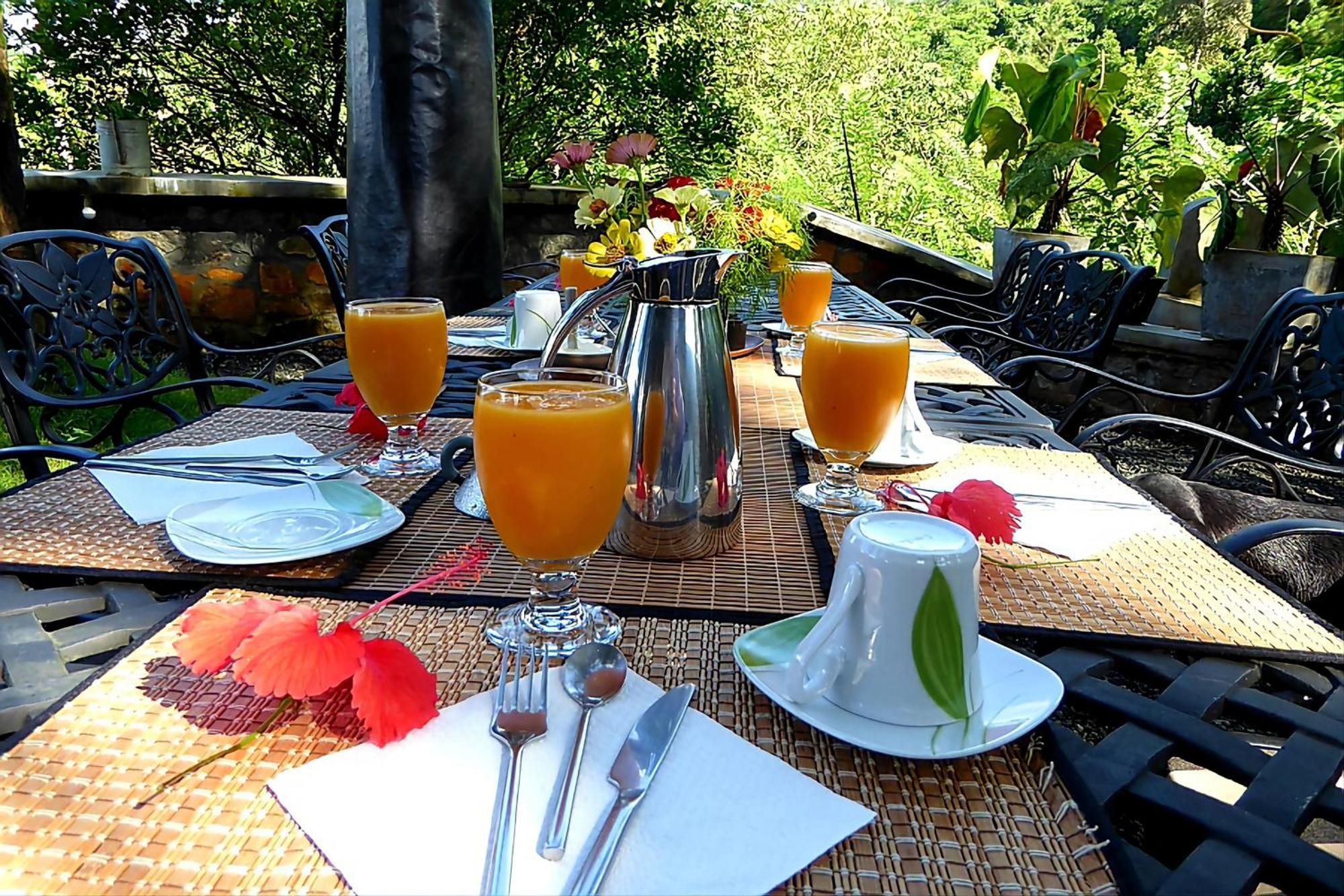 Singharaja Garden Agro Eco Lodge Pelawatta  Exteriör bild