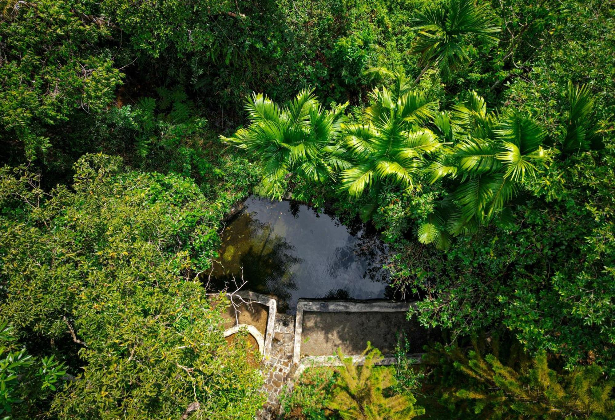 Singharaja Garden Agro Eco Lodge Pelawatta  Exteriör bild