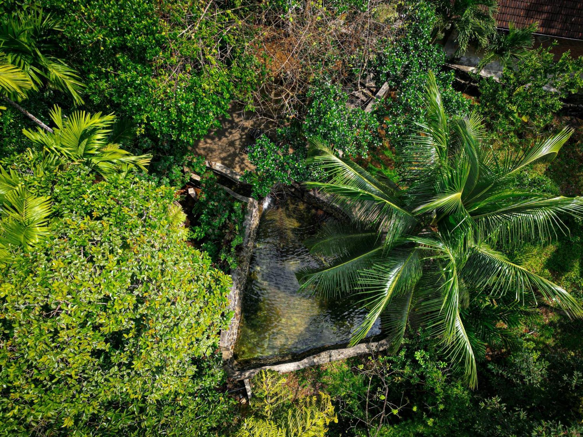 Singharaja Garden Agro Eco Lodge Pelawatta  Exteriör bild