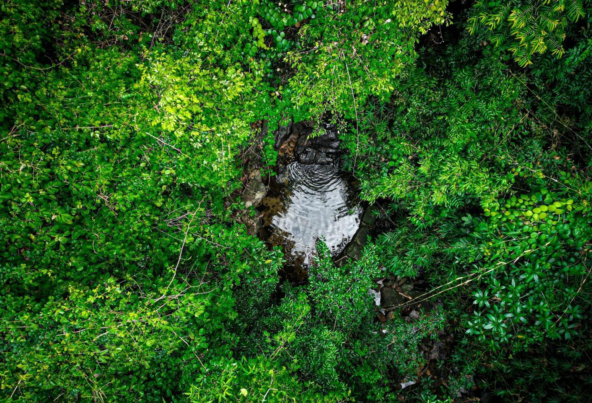 Singharaja Garden Agro Eco Lodge Pelawatta  Exteriör bild