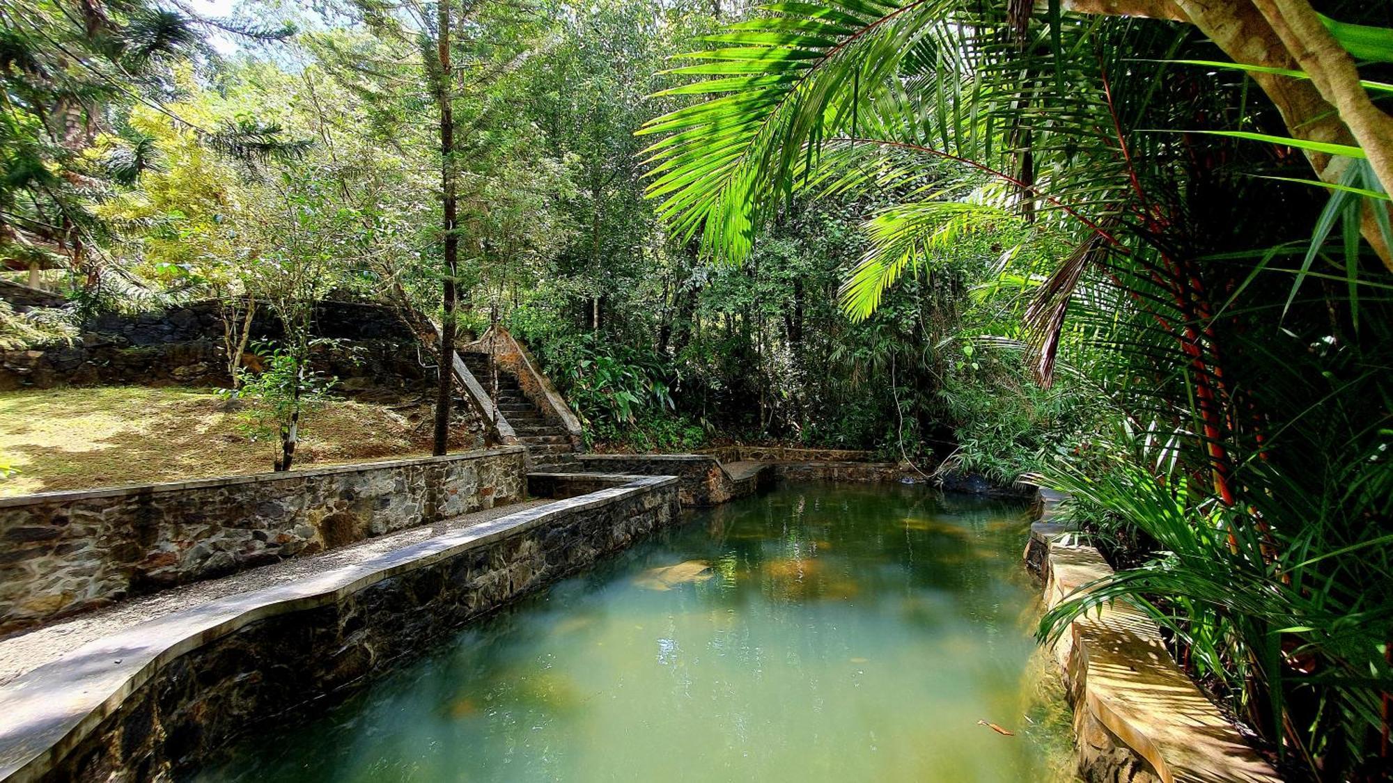 Singharaja Garden Agro Eco Lodge Pelawatta  Rum bild