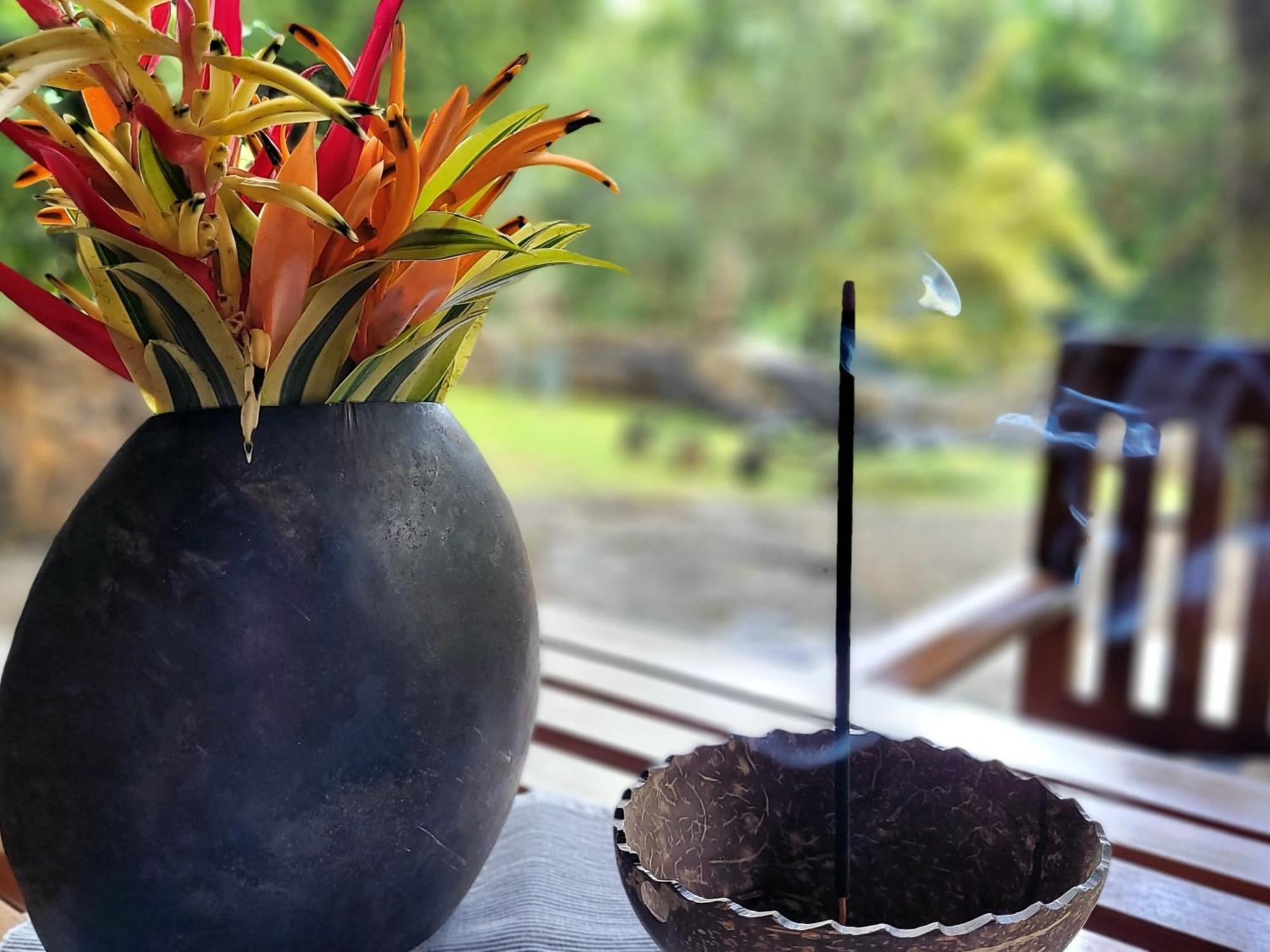 Singharaja Garden Agro Eco Lodge Pelawatta  Rum bild