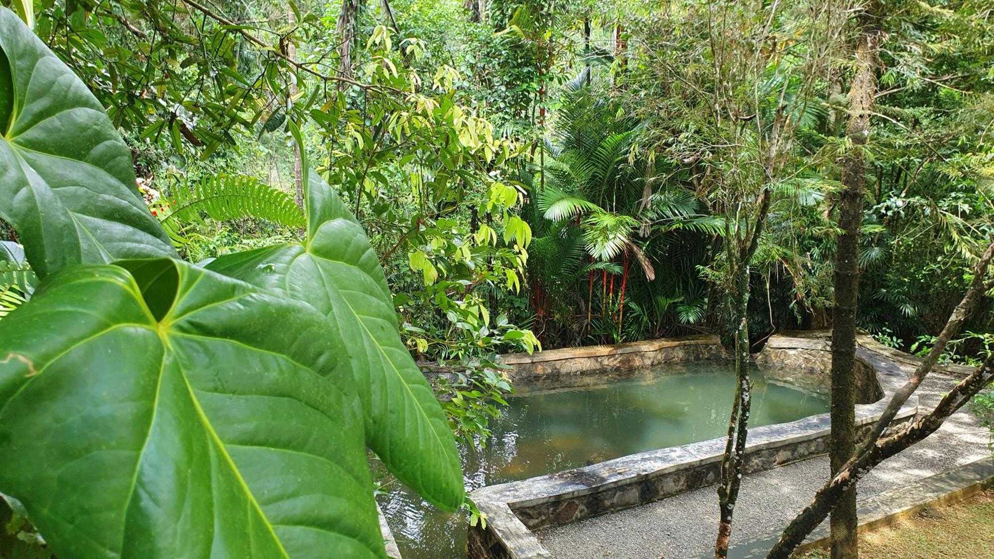 Singharaja Garden Agro Eco Lodge Pelawatta  Rum bild