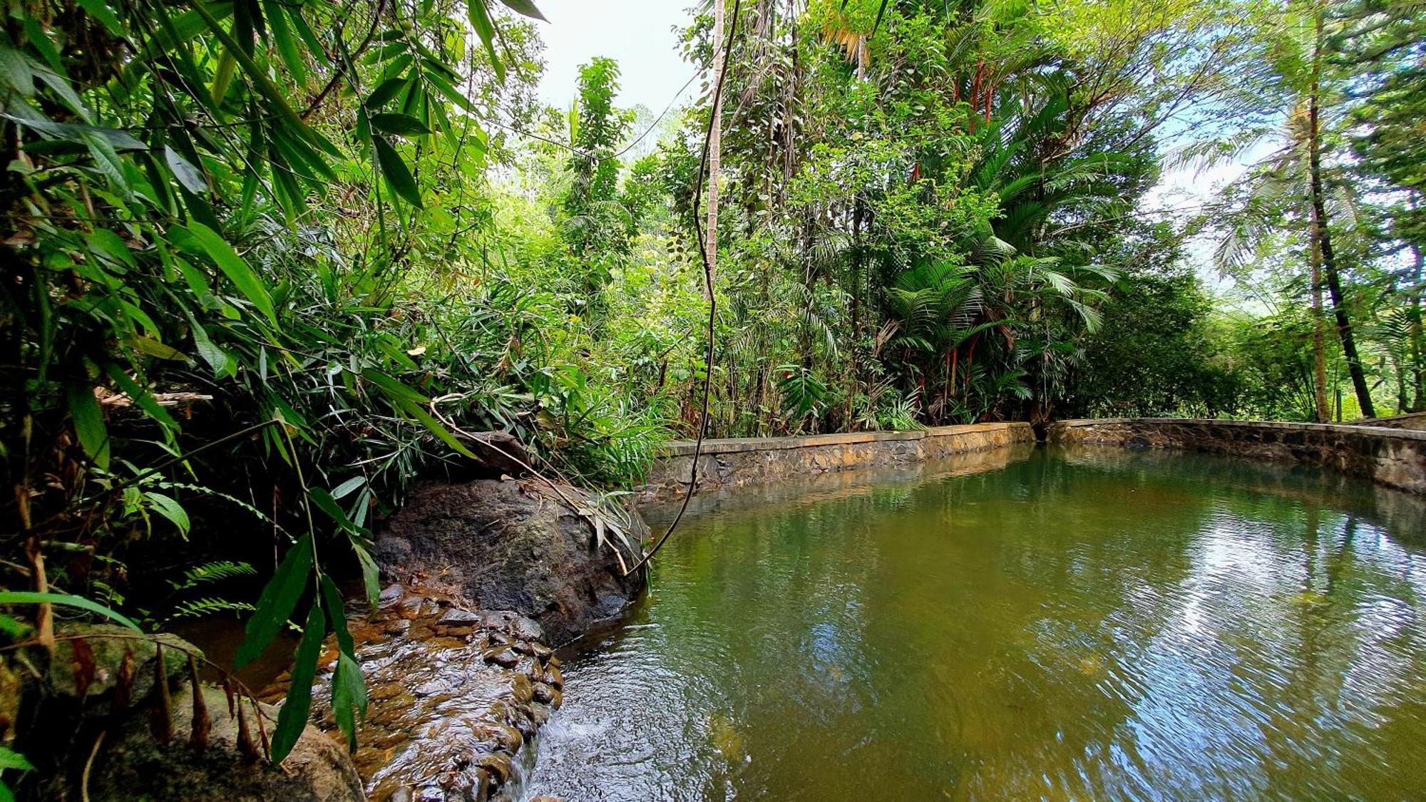 Singharaja Garden Agro Eco Lodge Pelawatta  Rum bild