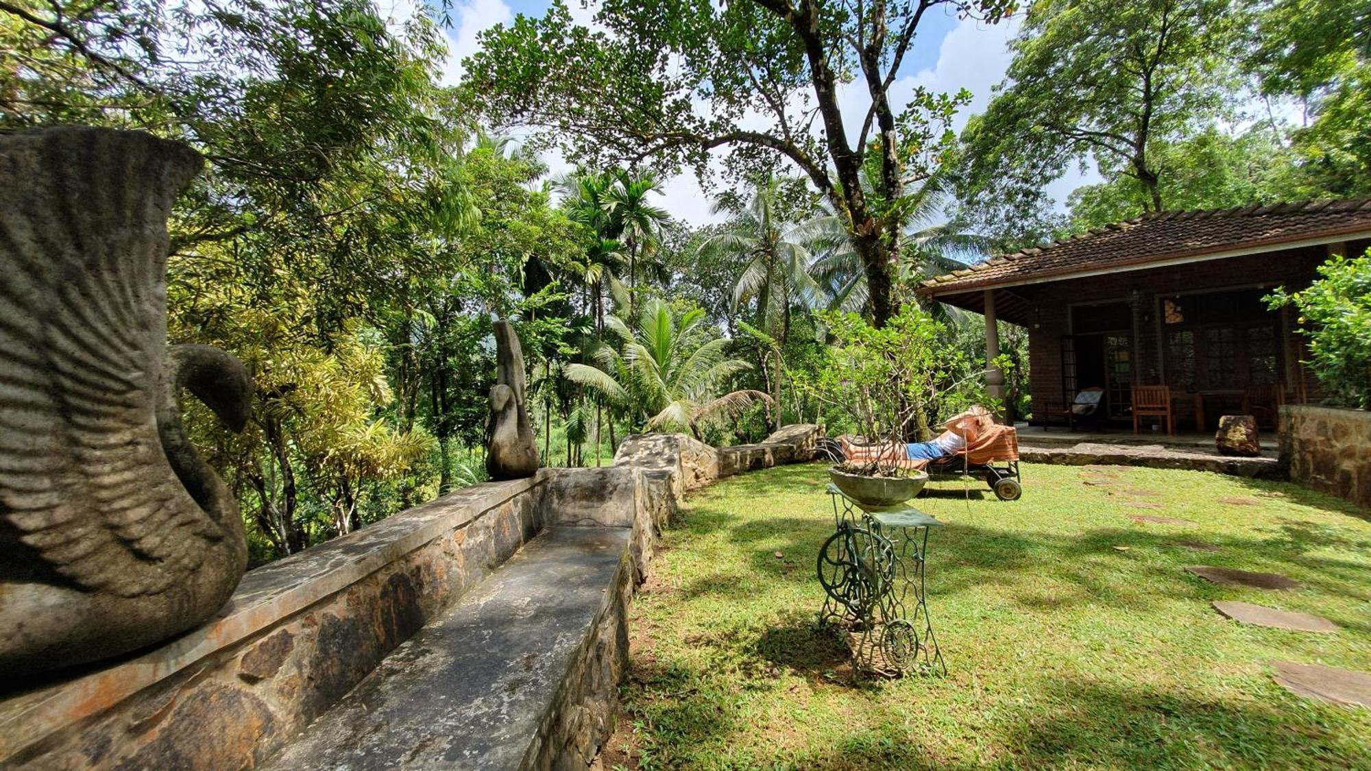 Singharaja Garden Agro Eco Lodge Pelawatta  Rum bild